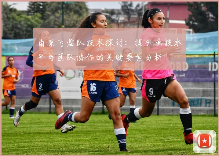 南京飞盘队技术探讨：提升竞技水平与团队协作的关键要素分析